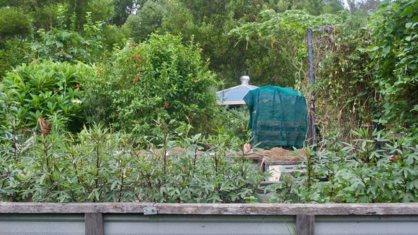 What Are the Best Permaculture Practices for a North-Facing UK Garden?